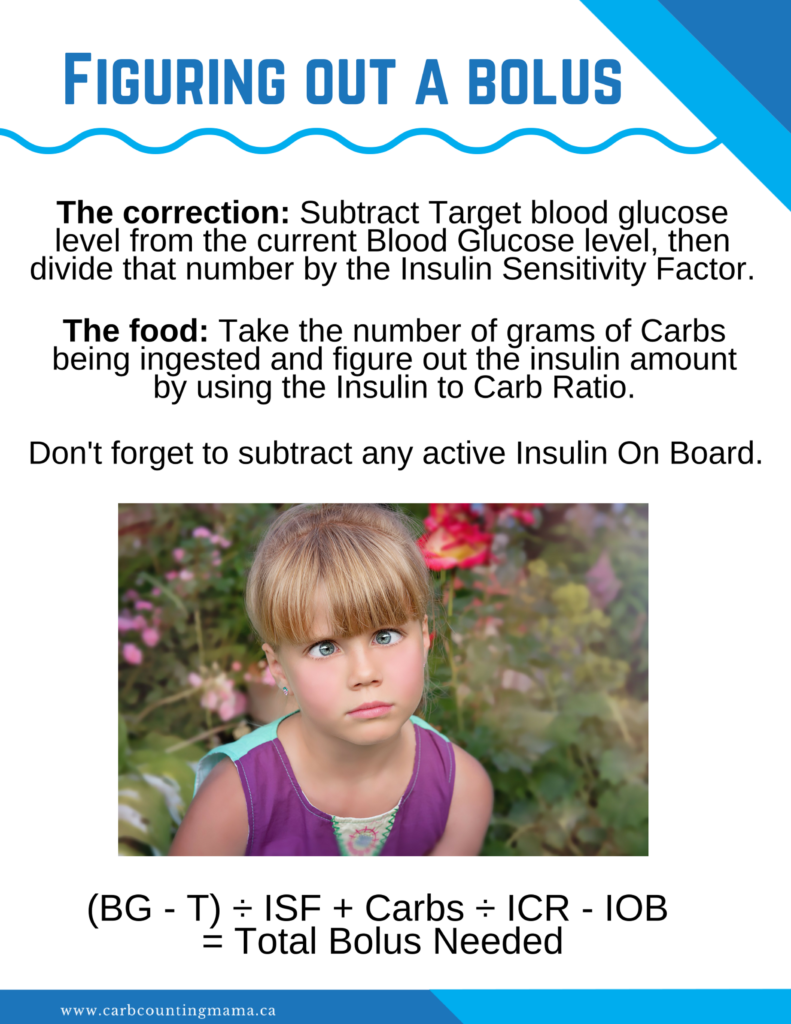 What is a Bolus? The What, Why, and How of Insulin Dosing