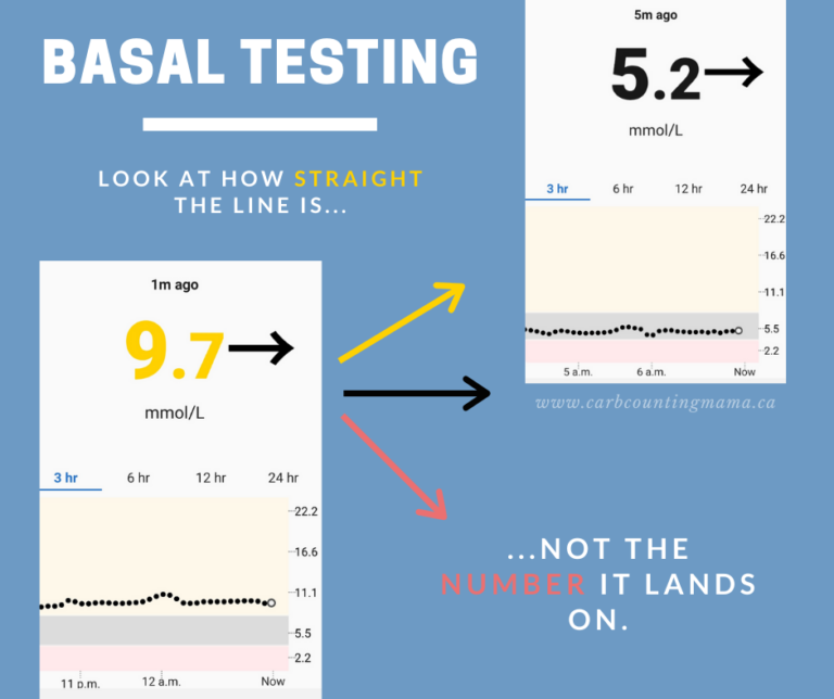 Basal Testing: The Beginner's Guide