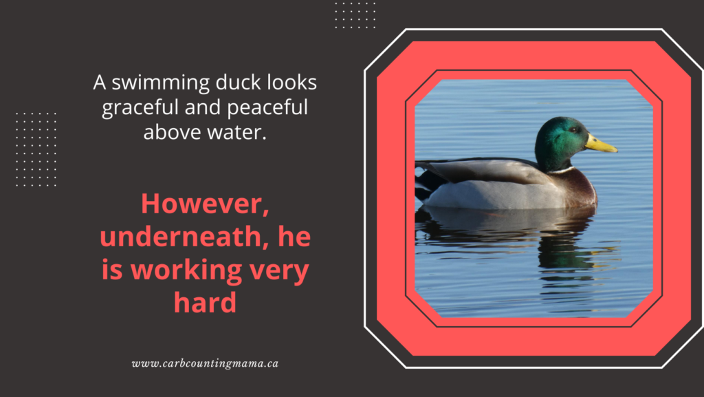 Black background with image of a duck. White and red text: A swimming duck looks graceful and peaceful above water. However, underneath, he is working very hard. www.carbcountingmama.ca